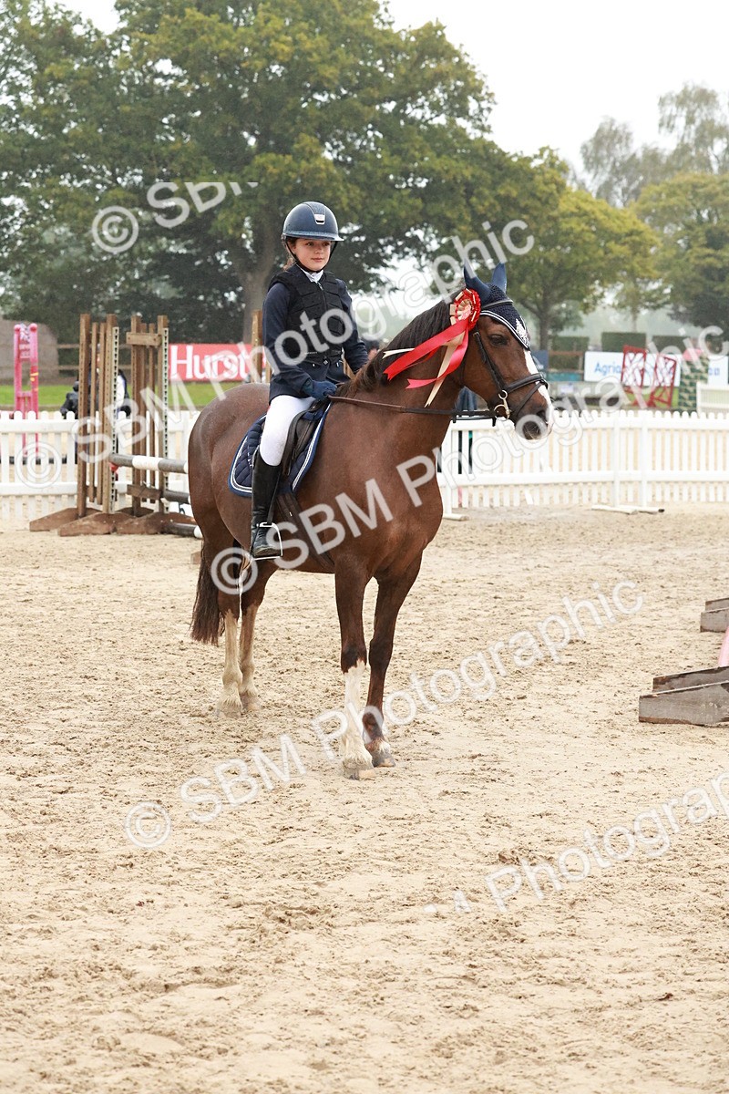 SBM_73583 - Supreme Championship Junior Pony 60cm & 65cm
