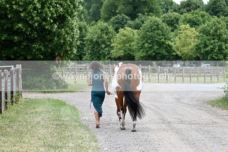 WJ7_2636 - Remy Maisel