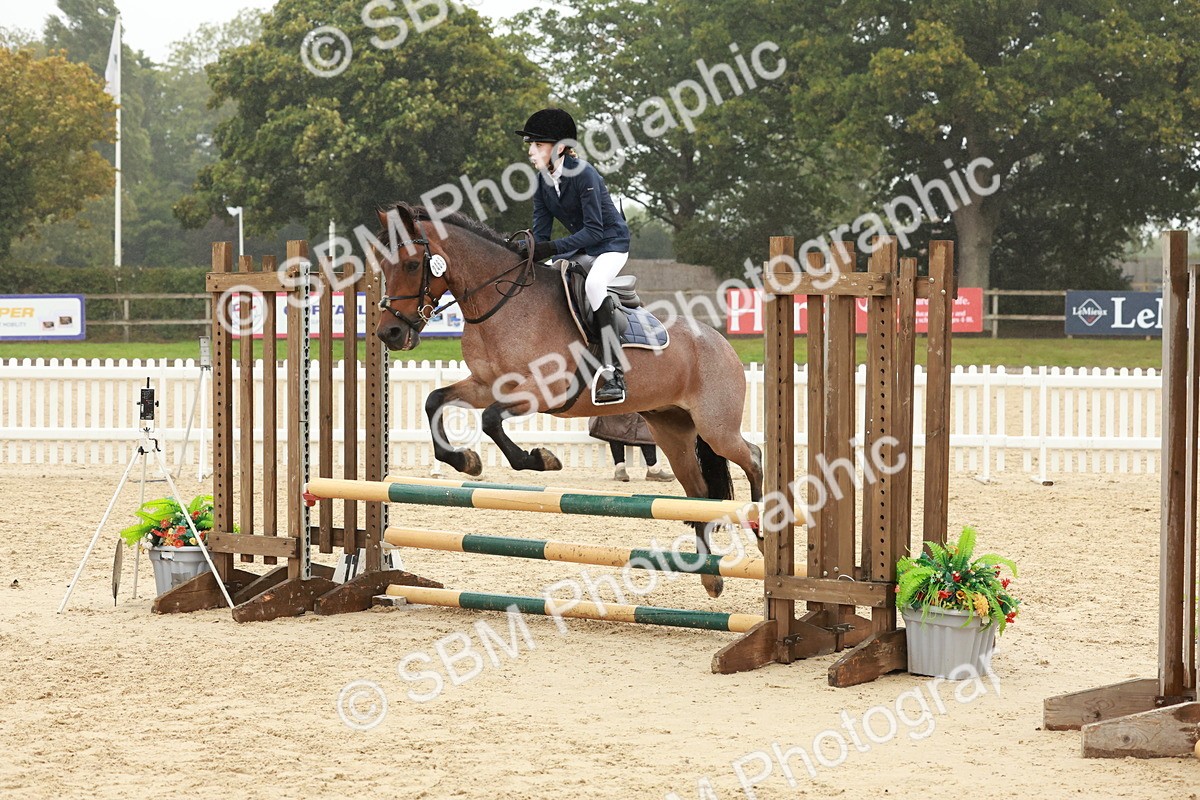 SBM_72200 - J14 - Junior Pony 65cm Championship