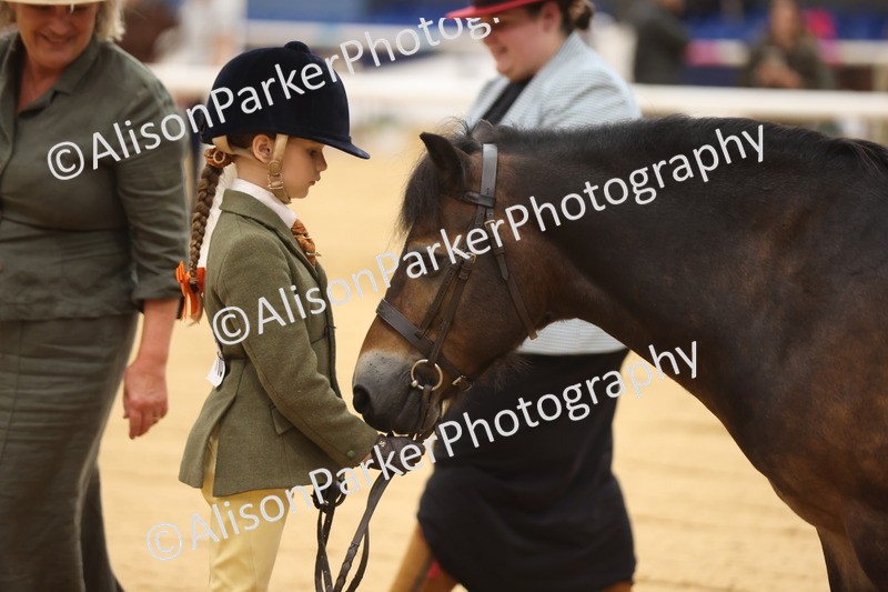20260913-0096 - Class 121 - Young Handler 5-16