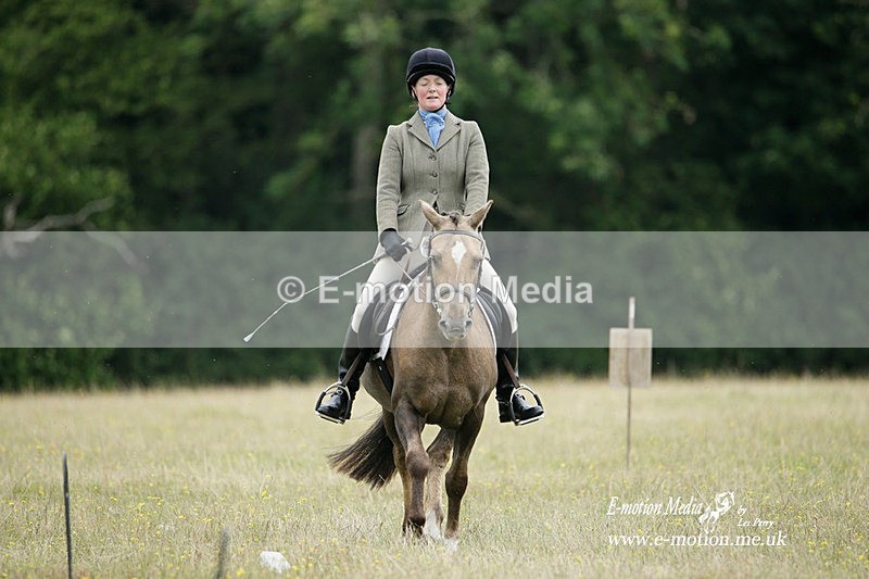 BVRC 030721 349 - Bourne Valley Riding Club Dressage 03/07/21