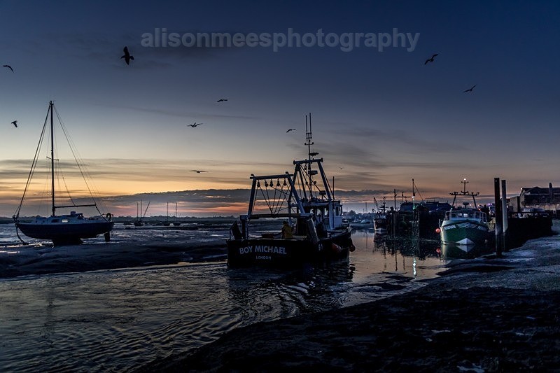  - Landscapes & Seascapes