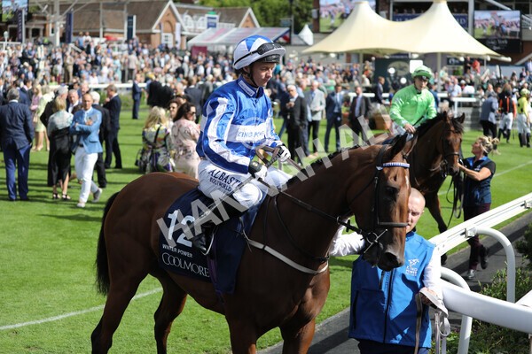 yr19082022r4-29 - Race 4 3.35pm Coolmore Wootton Bassett Nunthorpe Stakes (British Champion Series Race)