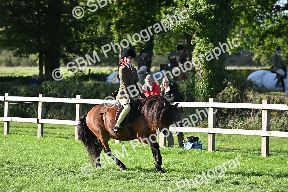 SBM_53023 - S23 - First Ridden Mountain & Moorland Pony