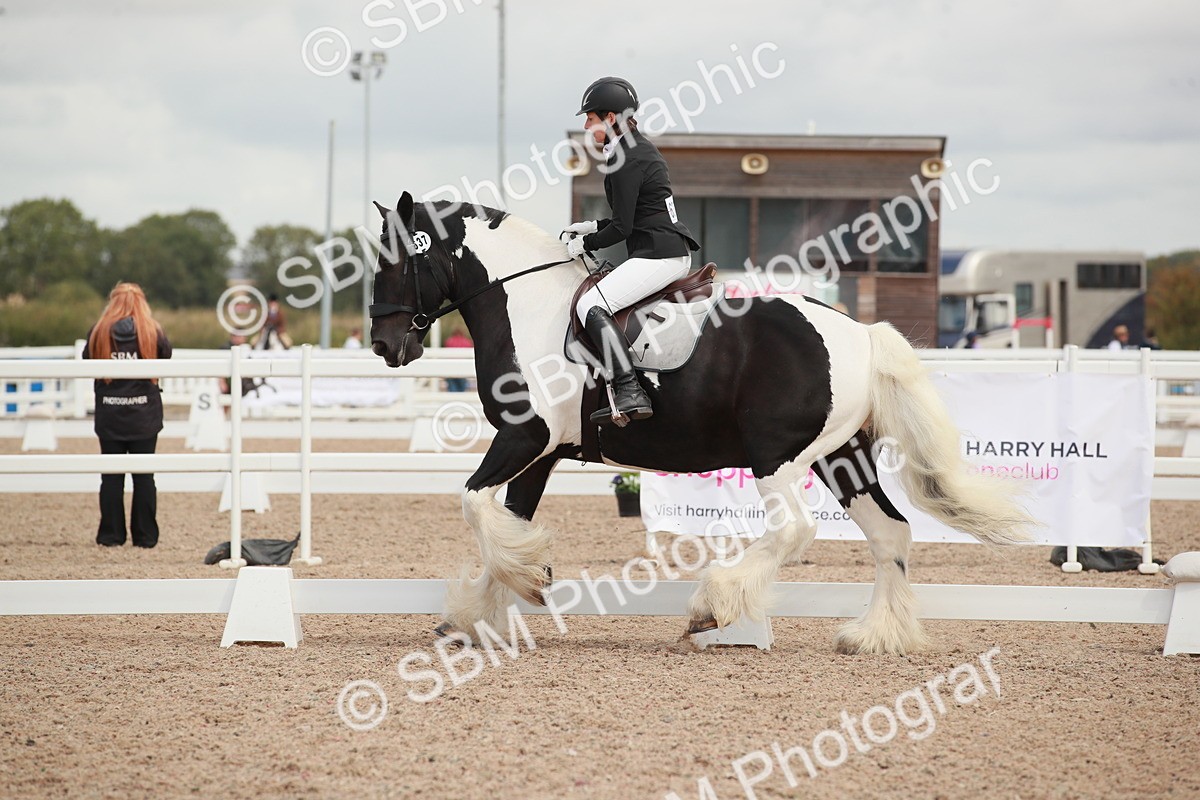 SBM_03825 - Class 31 - Prelim 1