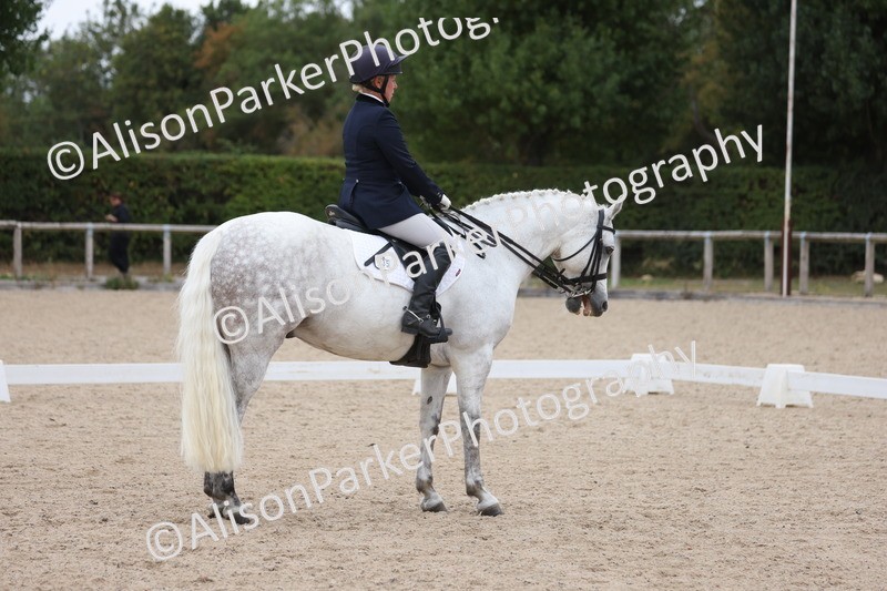 20250820-1171 - Class 17 - Elementary 4