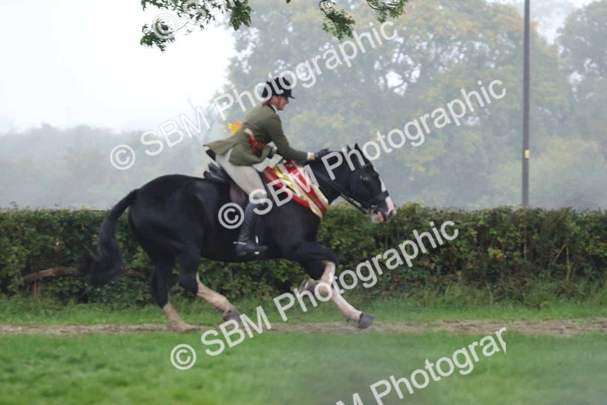 SBM_73265 - Super Supreme Championship(Sun)