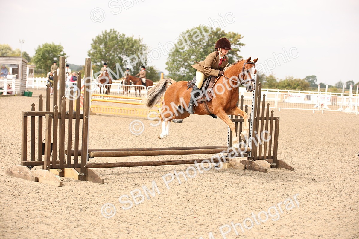 SBM_12624 - Class 405b - M&M Working Veteran 50cm 20+