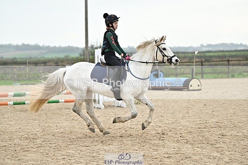 241110-140358-01022 - 60-65cm Arena Eventing