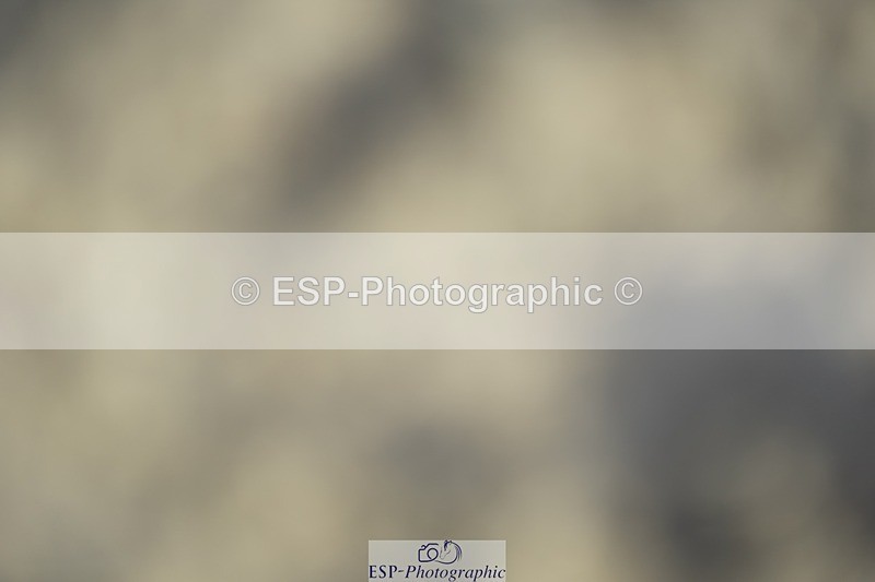 230909-165716-07162 - Cls 19 Club 70cm