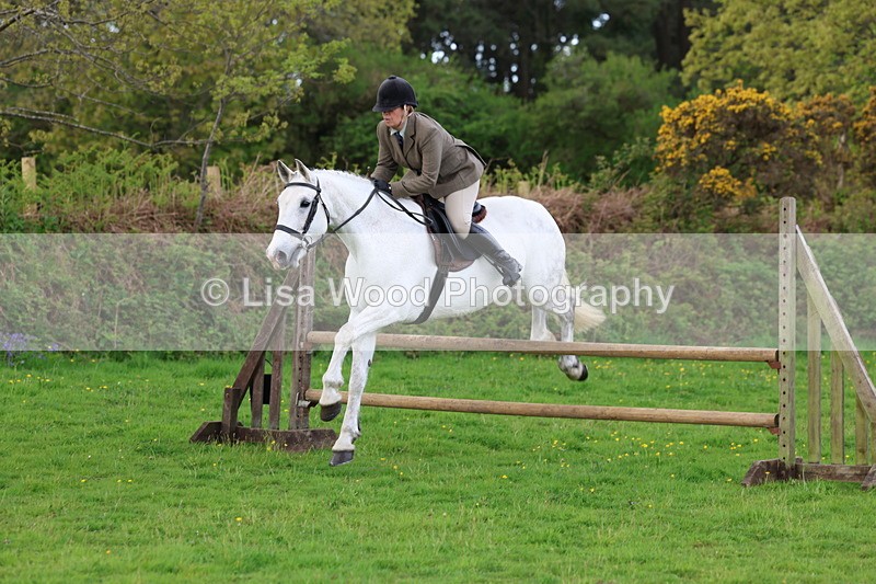 3E7A2559 - Classes 30 and 31: 80cm Working Hunter