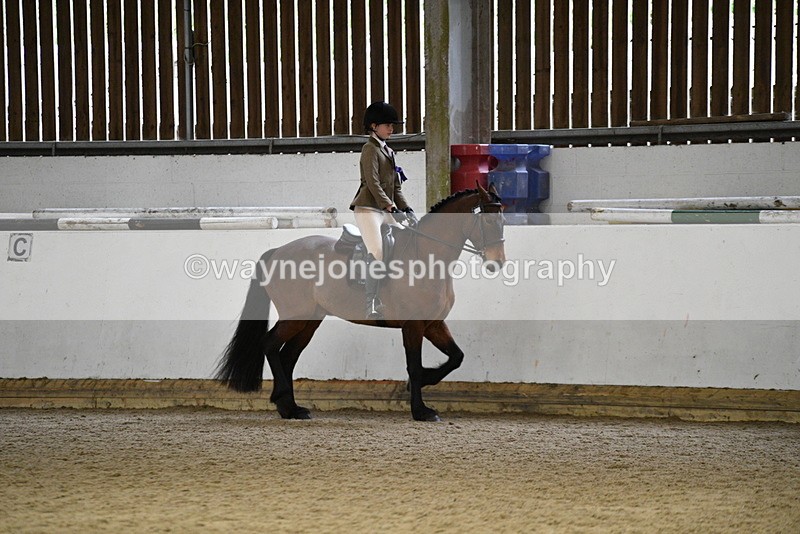 WJ5_7423 - Class 11 Ridden PC - RC Pony