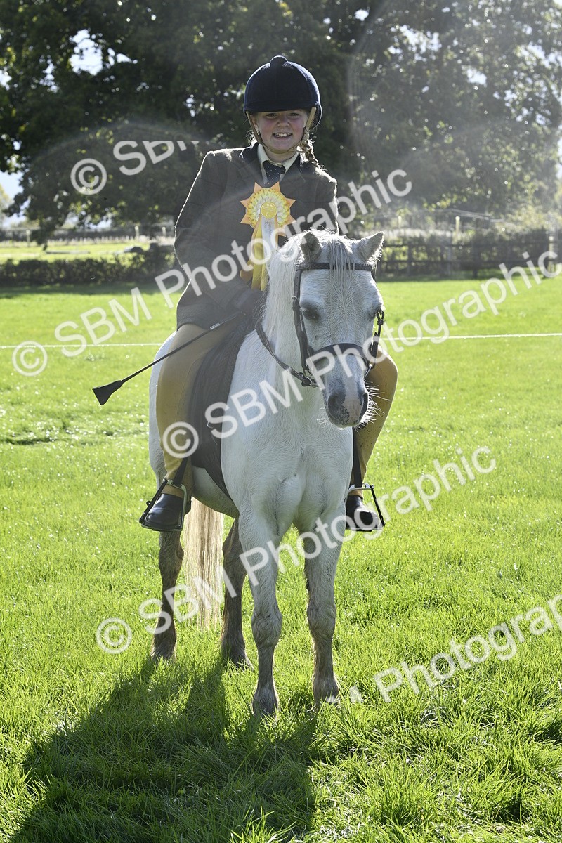 SBM_37243 - S31 - Novice & Newcomer Working Hunter Pony
