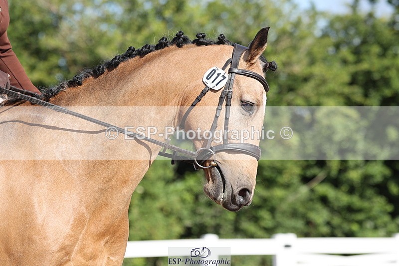 240706A-090830-00120 - Cls 2A Snr Prelim 7 Start to 10 break