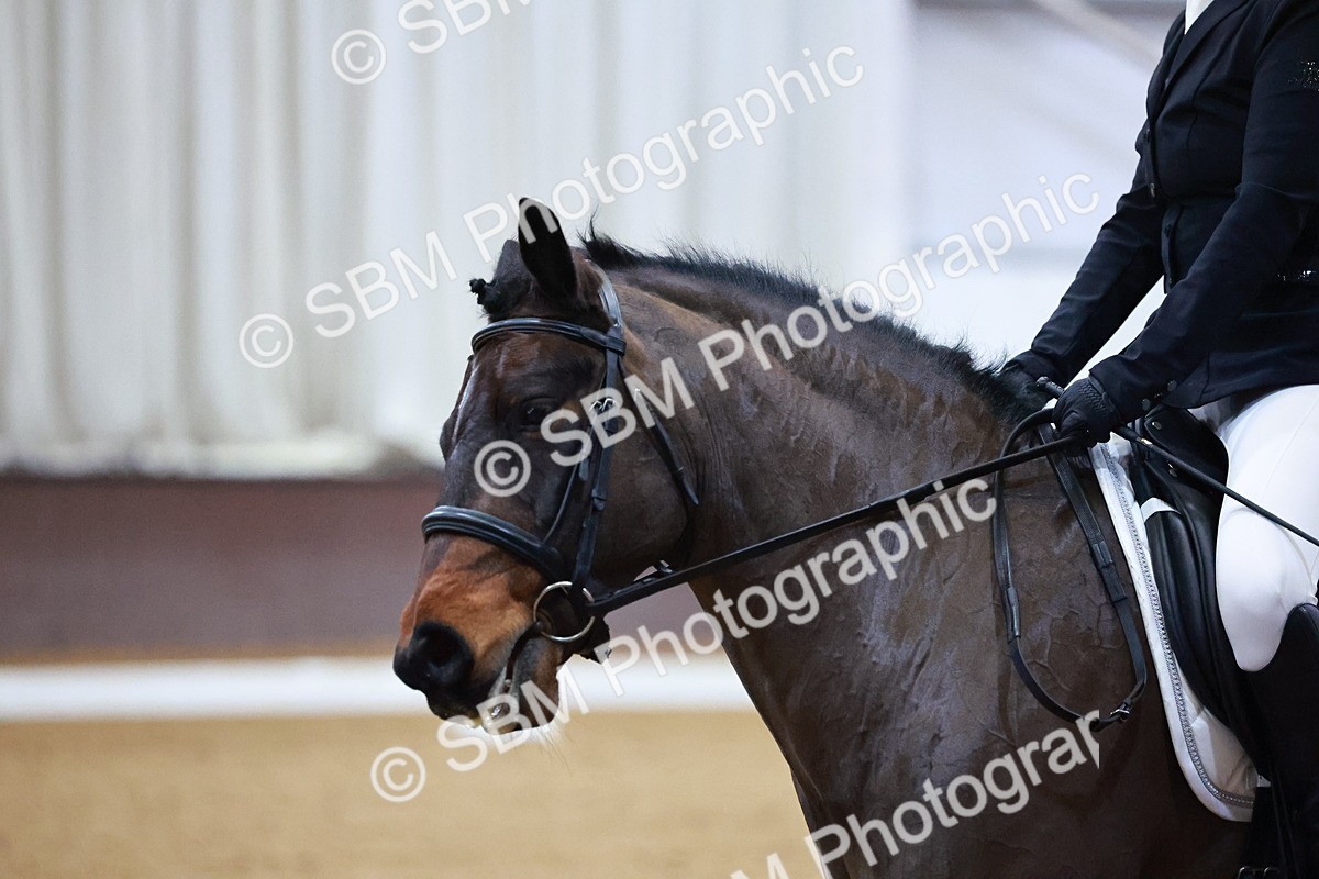 SBM_001586 - Novice Music