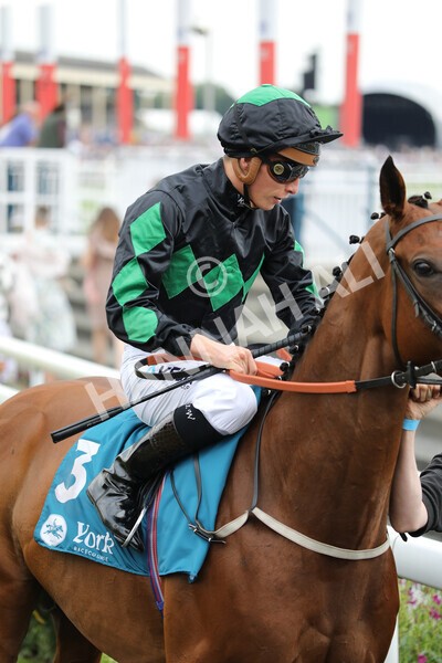 yr23072022r6-16 - Race 6 5.00pm Sky Bet Partnership with Support Dogs Stakes