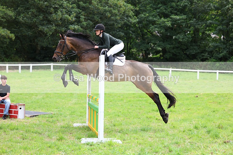 3E7A7300 - Class 5: Senior British Novice/90cm open