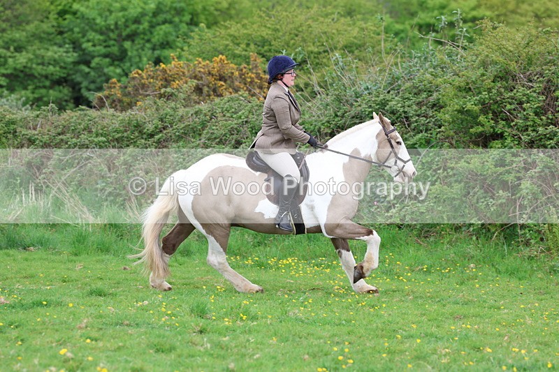 3E7A1451 - Class 8: Ridden Veteran Junoir and Senior