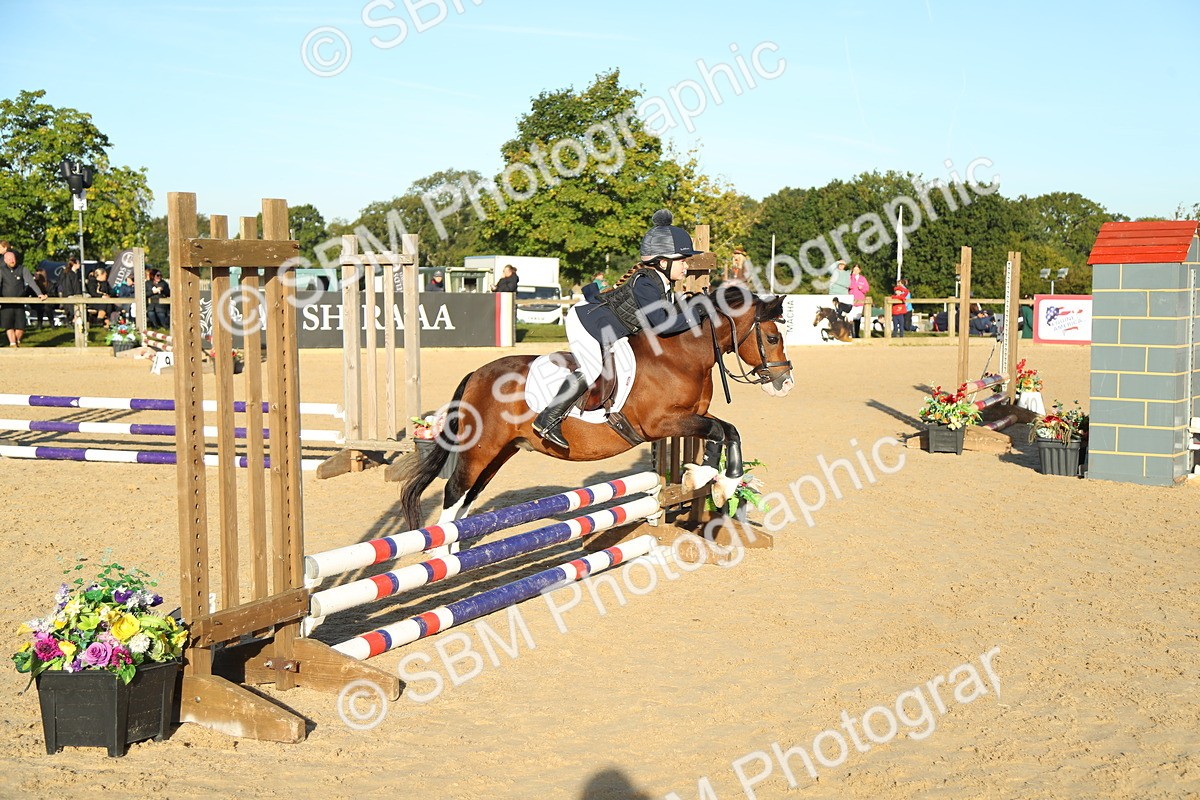 SBM_34928 - J5 - Junior Pony 50cm Championship