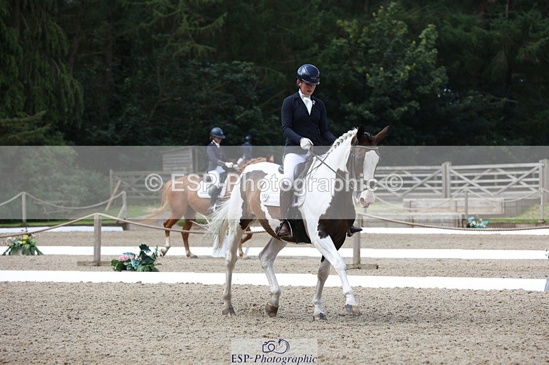 230812-112441-03759 - Cls 5 Novice Bronze 11.15 to 12.50 break