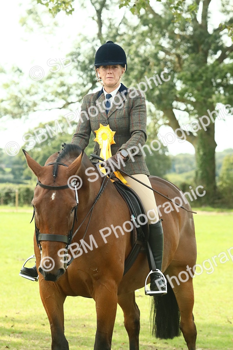 SBM_66780 - S34 - Rehabilitated Rescue Horse & Pony In Hand & Ridden