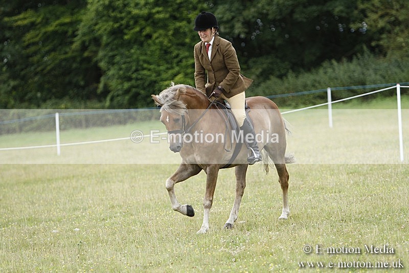 BVR160717-355 - Ring 3 BVRC Show 16/07/17