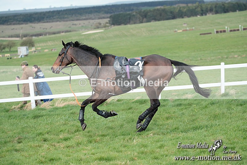 PtP 230324 909 - Tedworth Hunt PtP Larkhill Raccourse 23rd March 2024