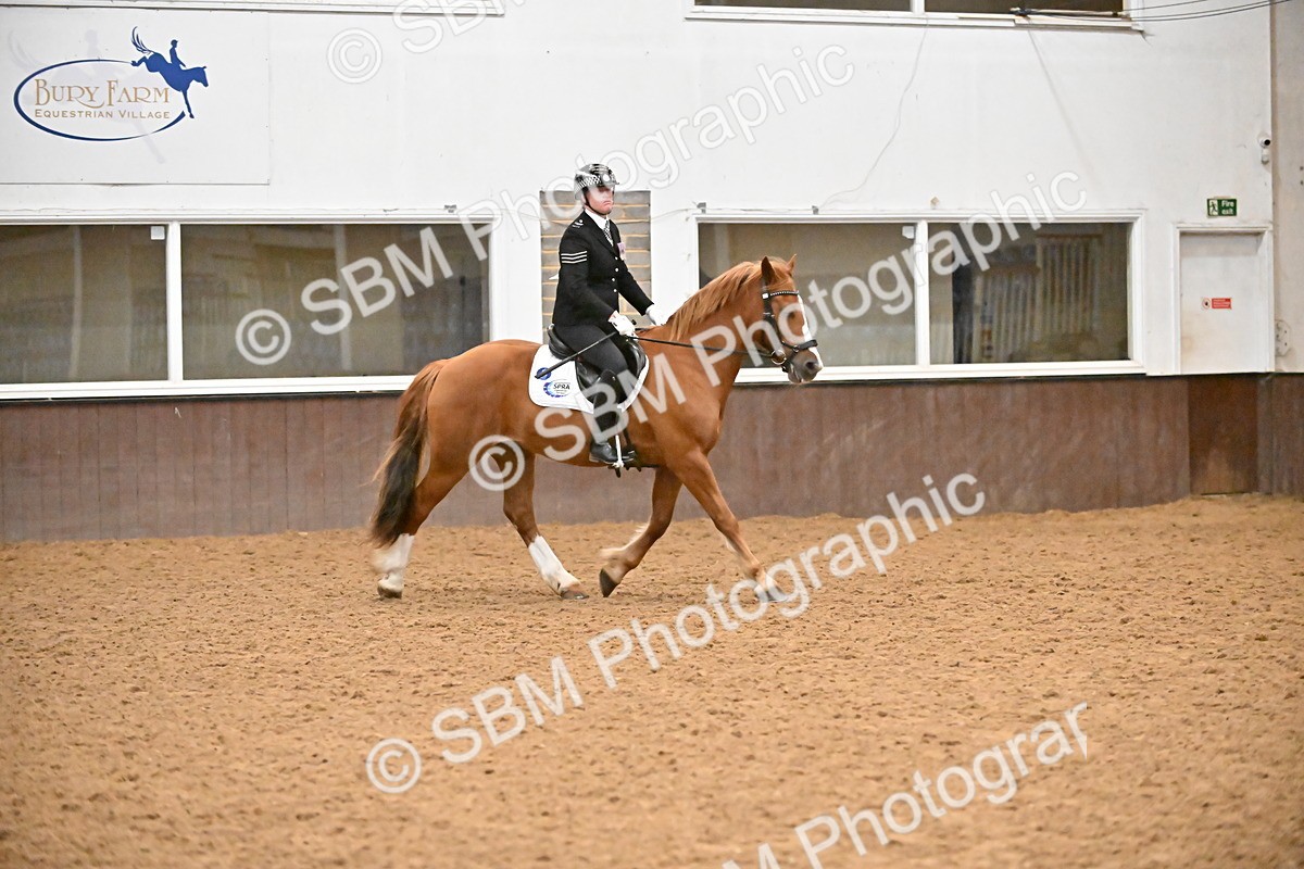 SBM_002954 - Class 37,38 - UKPSAF Performance Horse & Pony