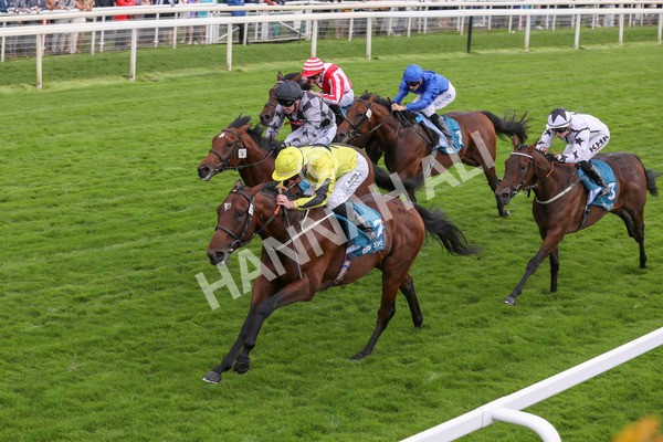 230923-Race 3-Politico-5300 - Race 3 3.10pm Happy 60th Birthday Angela Clark Nursery Handicap