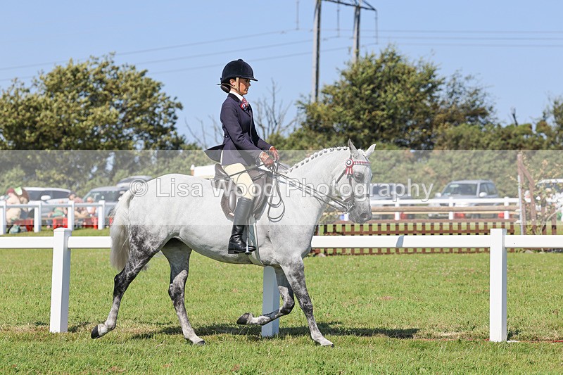 IMG_1876 - Class 33: Show Pony 148cm and under