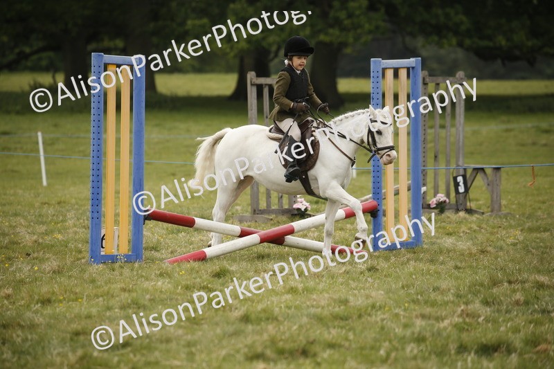 20250517-0757 - Class 2 - 30cm Off Lead Rein