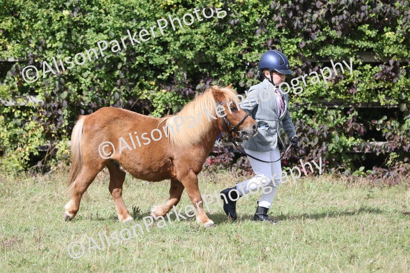 20250831-1757 - Previous show - Lambourn 2025
