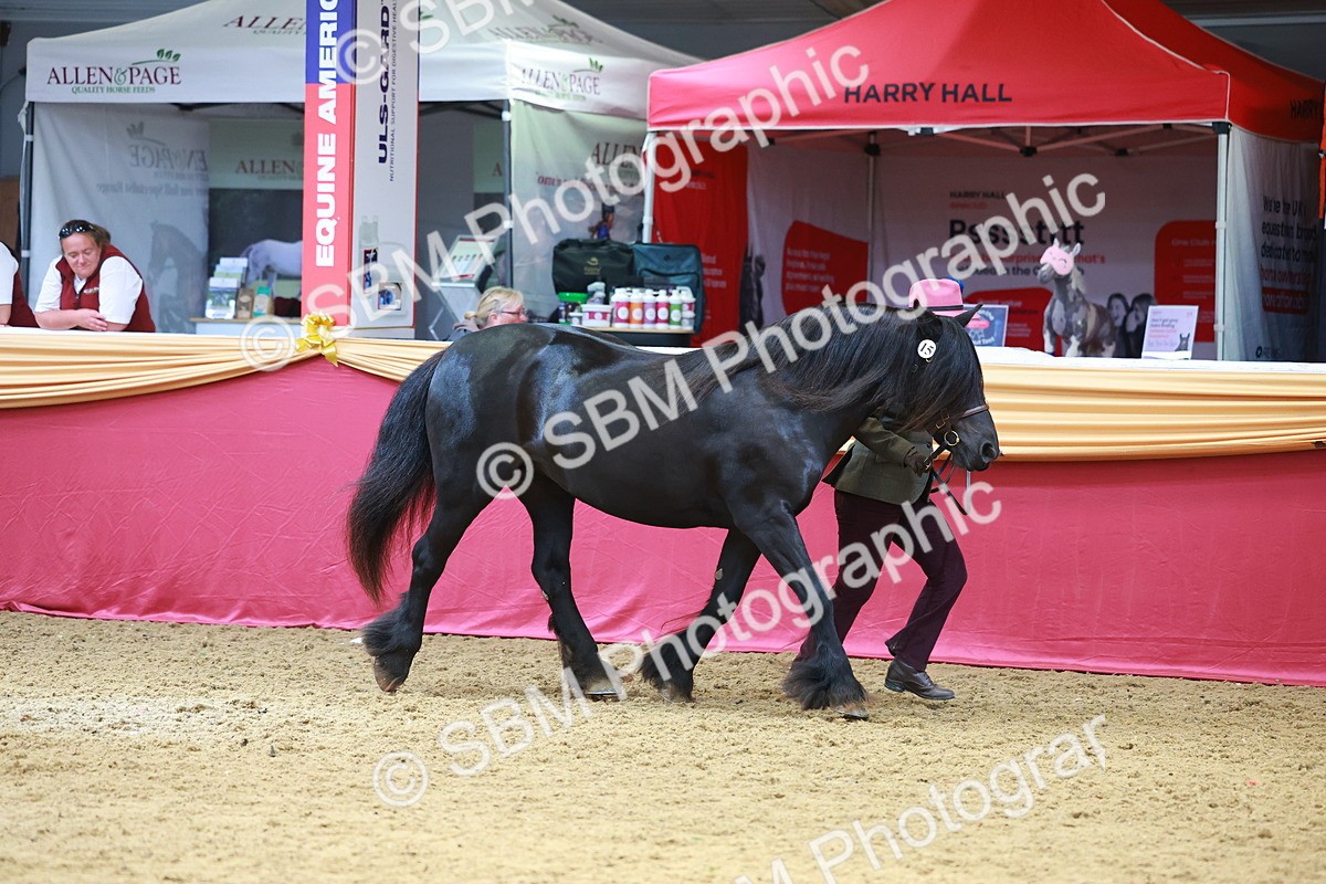 SBM_04200 - Class 9R - IH Pre-Vet