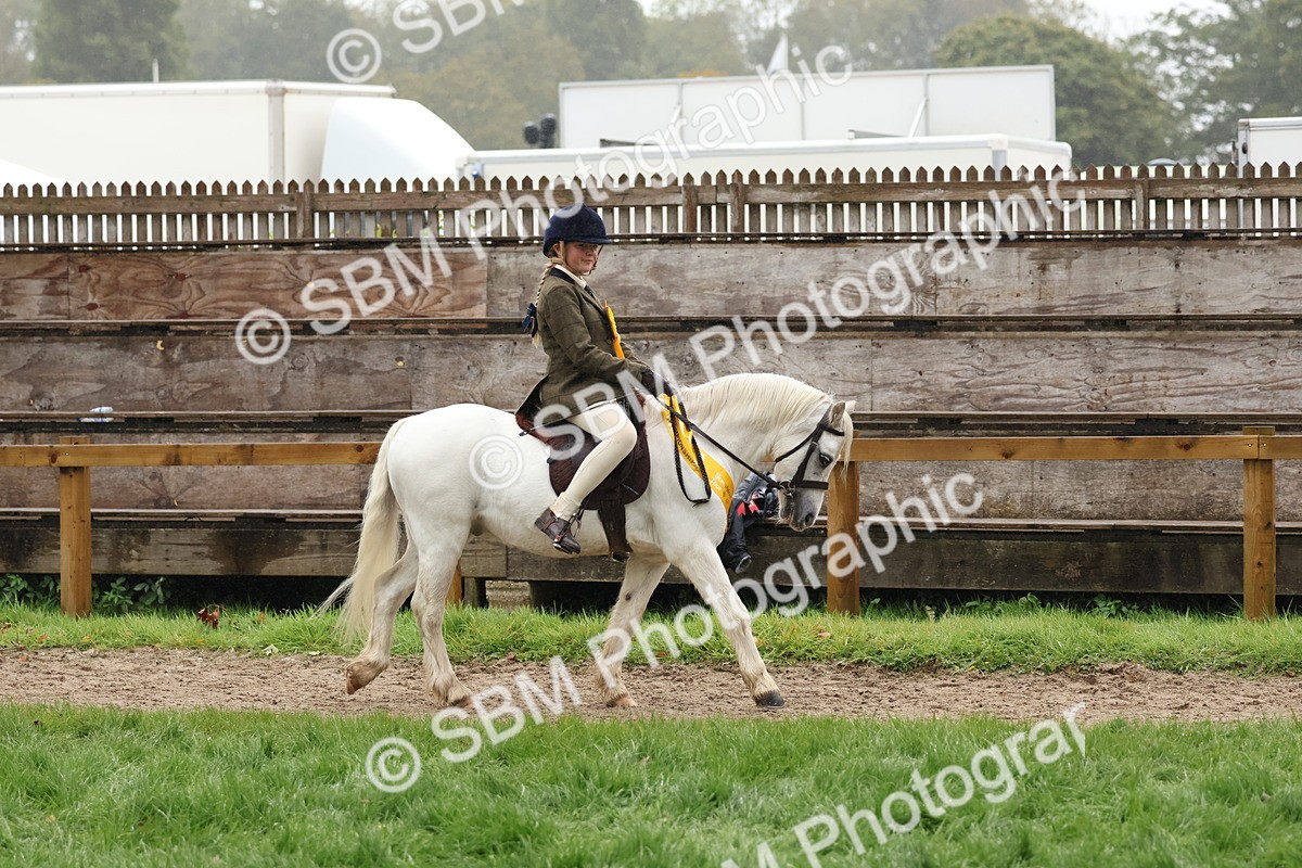 SBM_73093 - Ridden Pony Supreme Championship