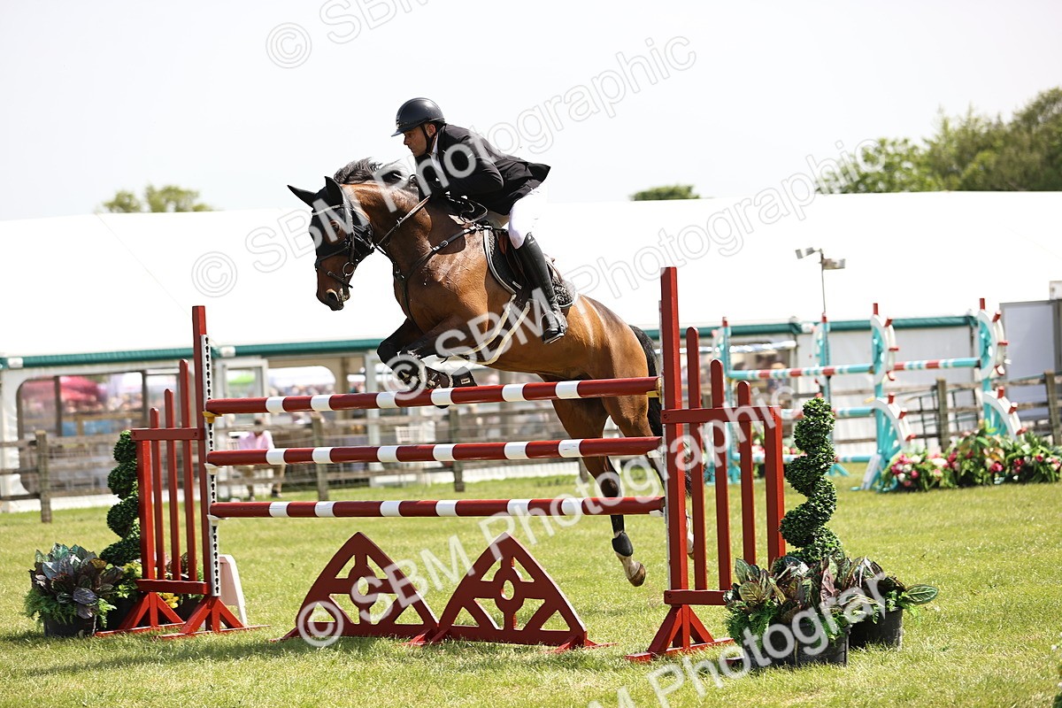 SBM_04032 - Class 201 - British Horse Feedds Speedi Beet HOYS Grade C