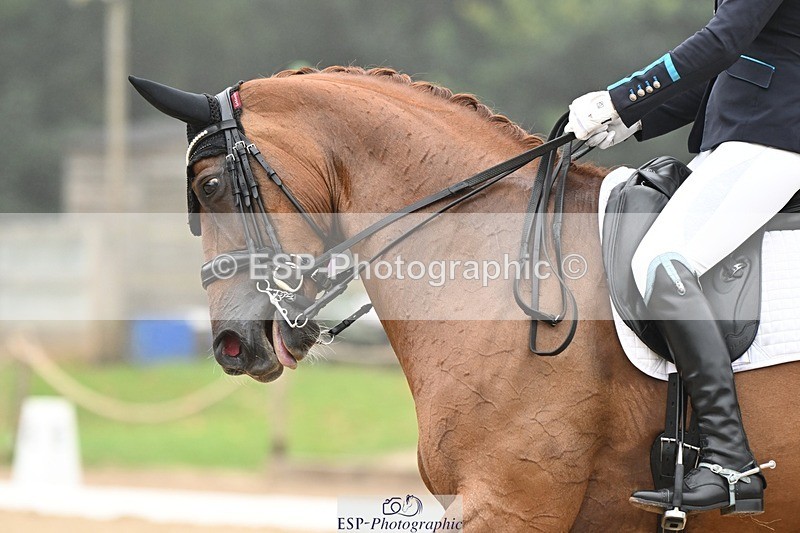 240811-113407-05540 - 243-Jessica.Davies-Kadanz.II