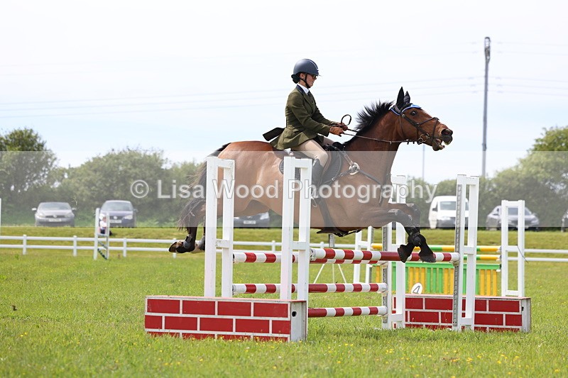 3E7A1868 - Class 13: Senior British Novice/90cm open