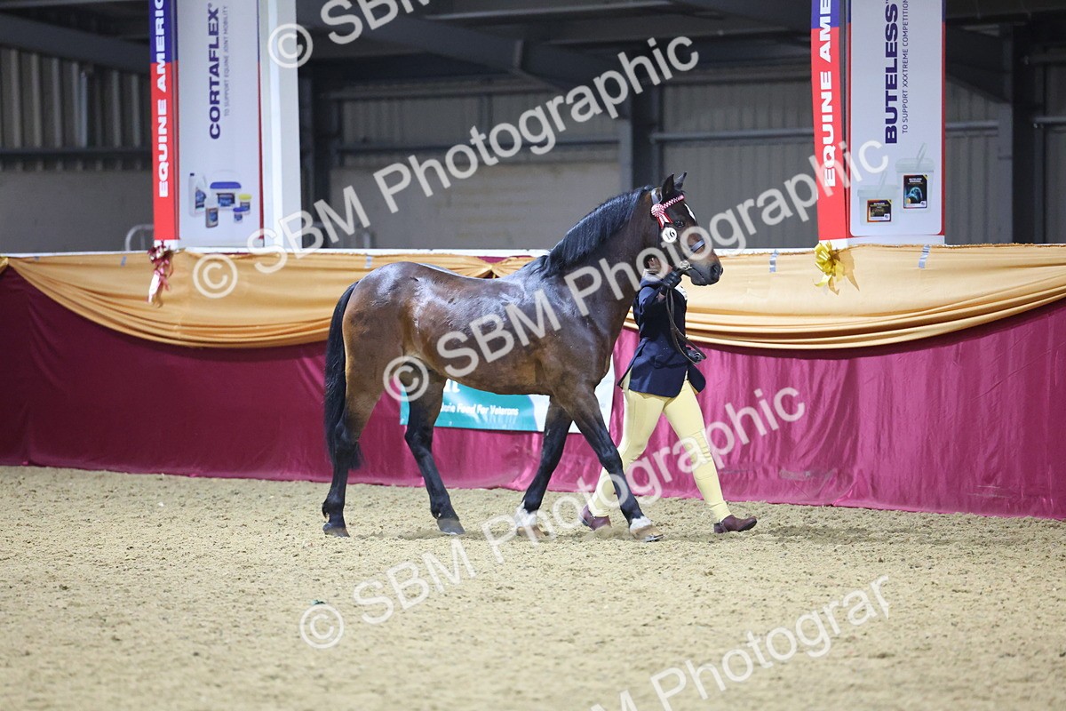 0B8A4786 - Class T Champion of Champions