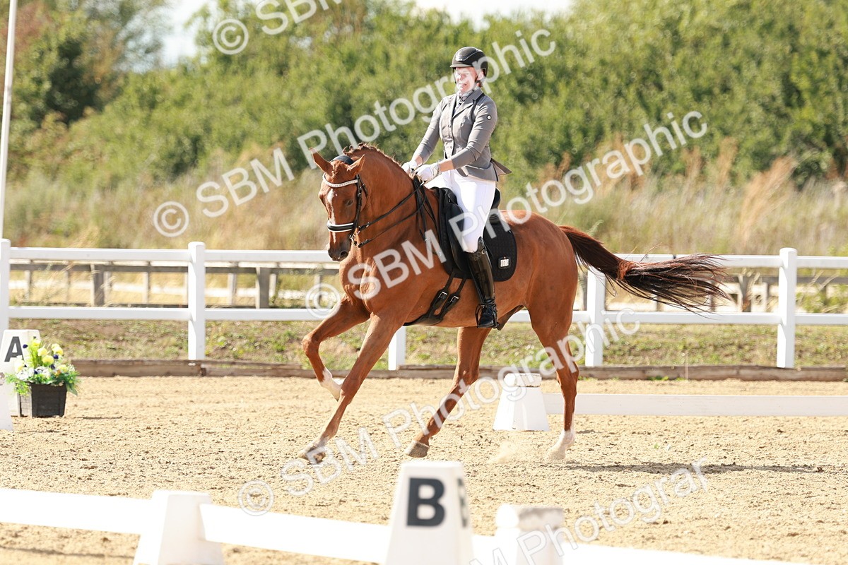 SBM_002562 - Class 11 - Medium 6