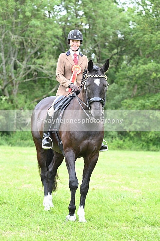 WJ7_4357 - Class 14A Handsome Gelding