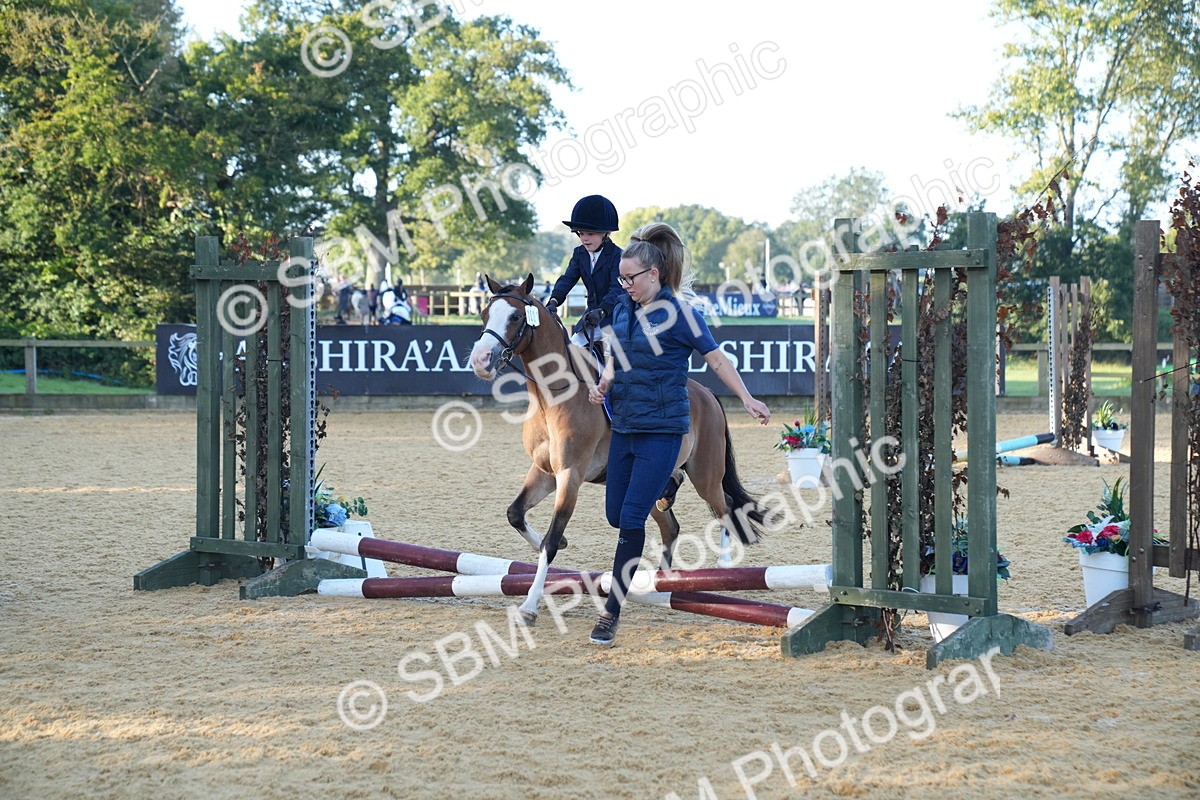 SBM_58939 - J63 - Minis Clear Round 30cm 40cm