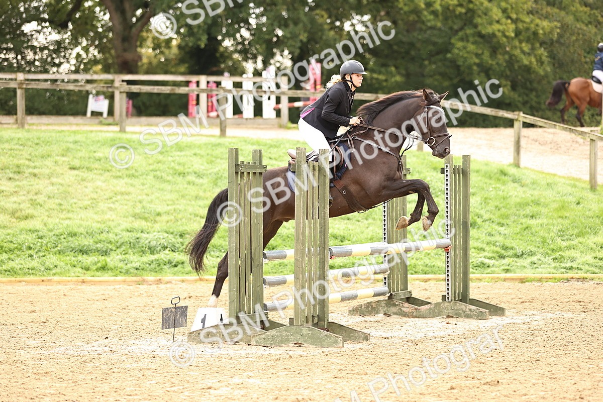 SBM_58466 - J41 - Grand Tour Horse & Pony 95cm