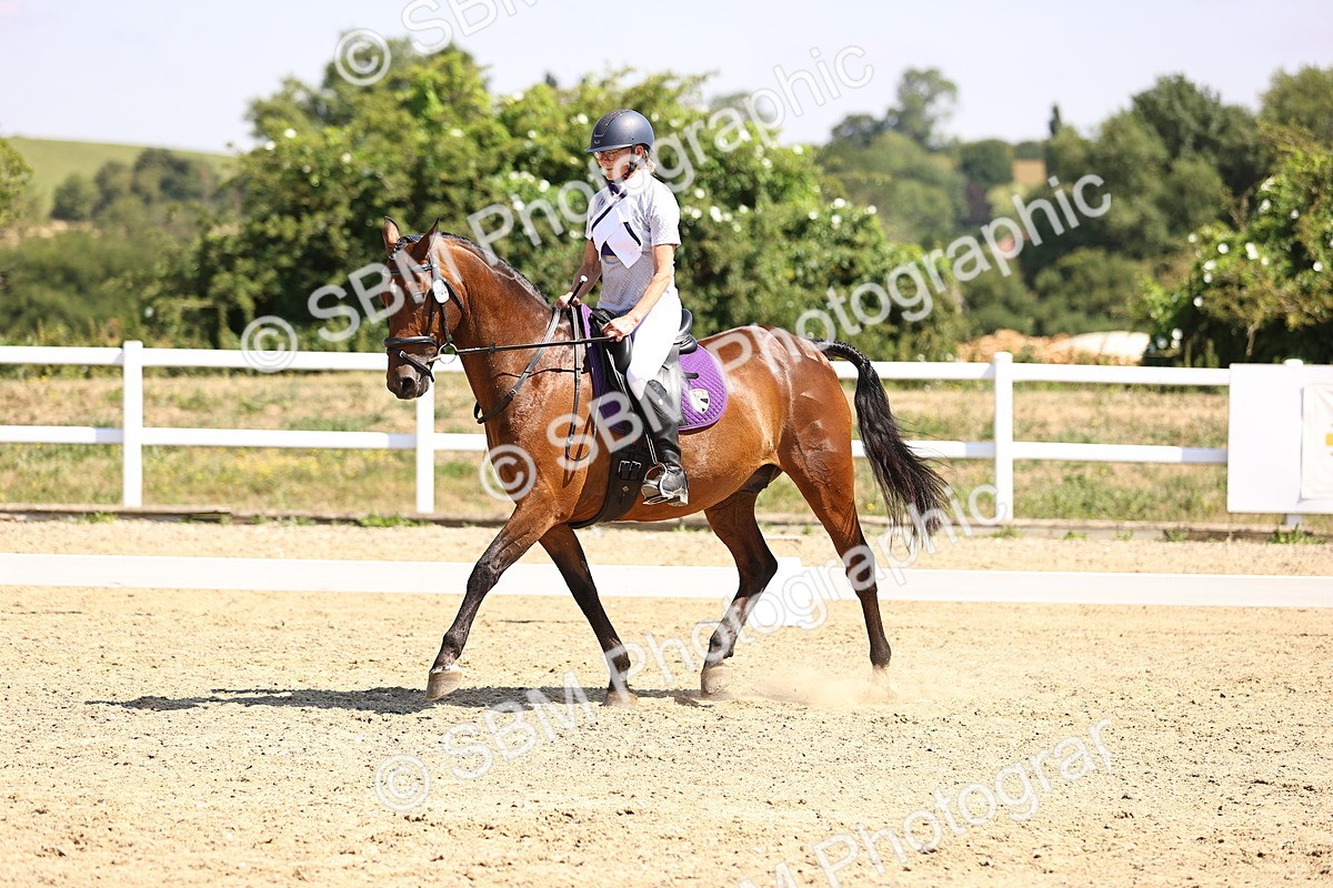 SBM_003729 - Intro 2