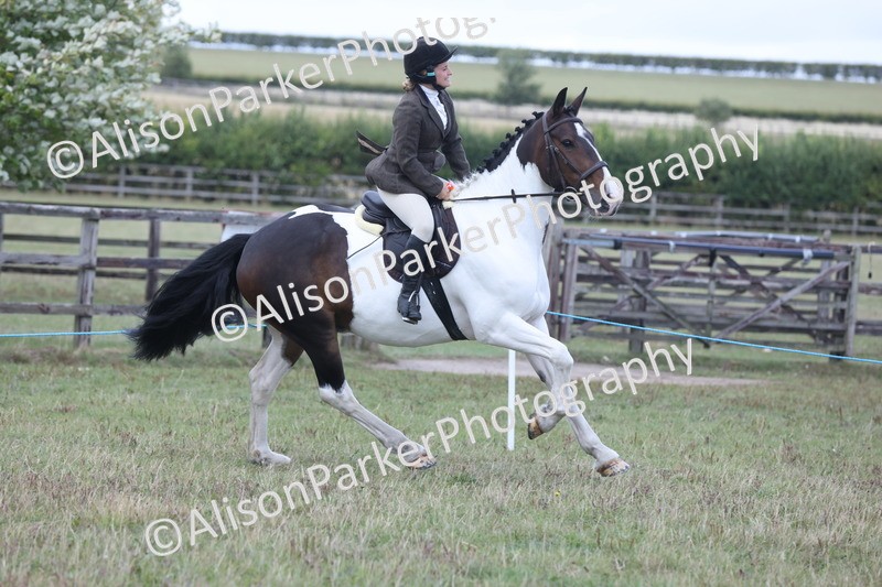 20250831-4381 - Class 20 - Ridden Coloured