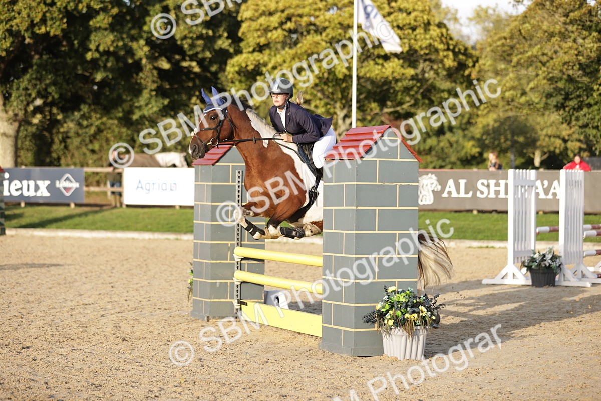 SBM_30098 - j52 - Open 80cm