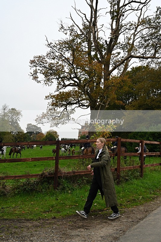 WJ7_7272 - The Meet