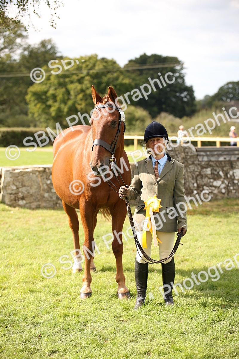 SBM_46425 - S25 - Mature Veteran In Hand