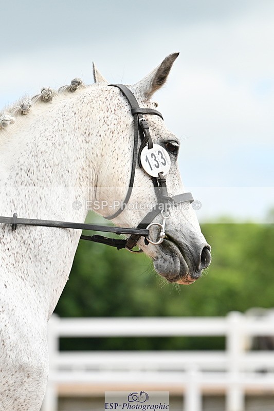 240622A-094253-07402 - Cls 2A+2B+C Intro B RoR