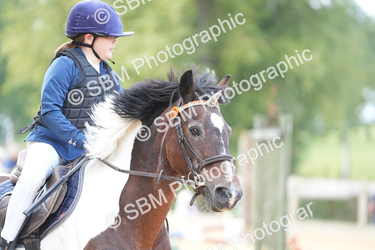 SBM_64401 - J2 - Mini Tour Junior Pony 30cm Championship