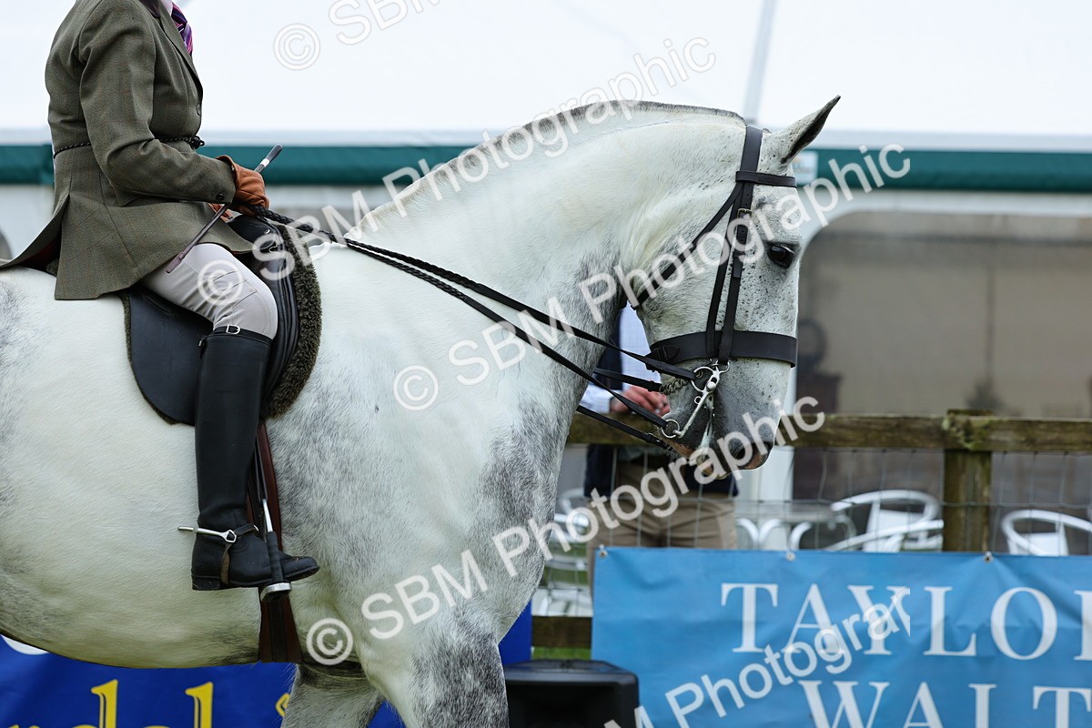 SBM_02464 - Class 9-11 Side Saddle including LIHS Rising Star Ladies Show Horse